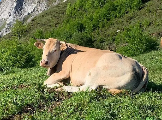 Hotel Le Tremplin Lourdes