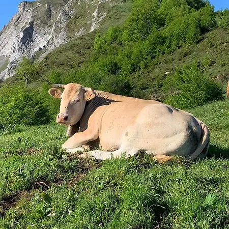Ξενοδοχείο Le Tremplin Λούρδη